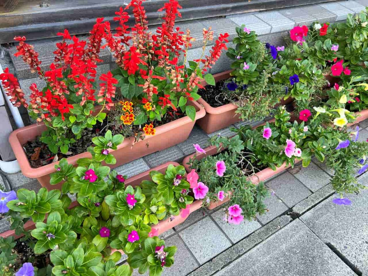 鳥取県南部町にある『生山駅』の花壇