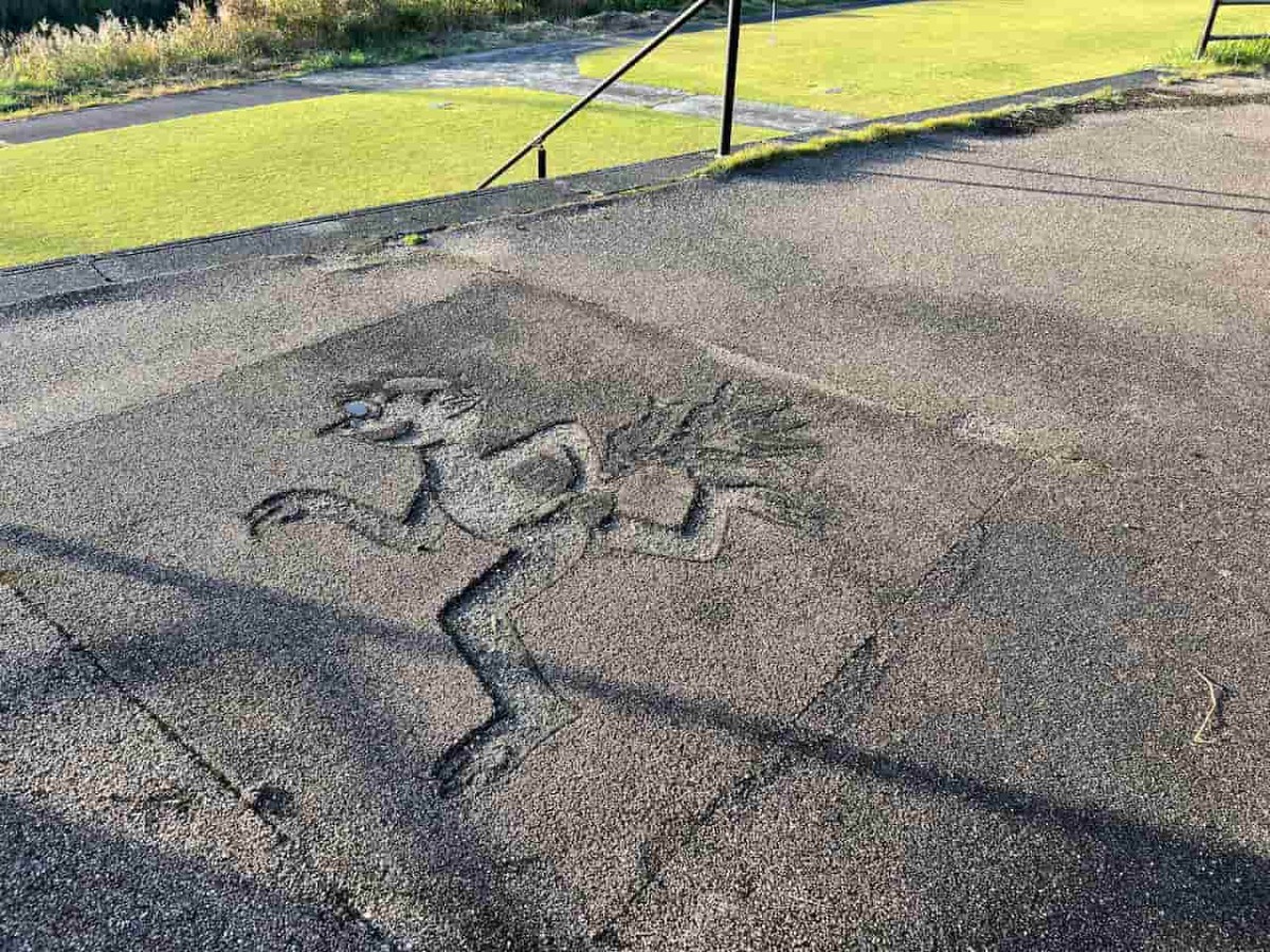 鳥取県日野町『黒坂カワコふれあい公園』の様子