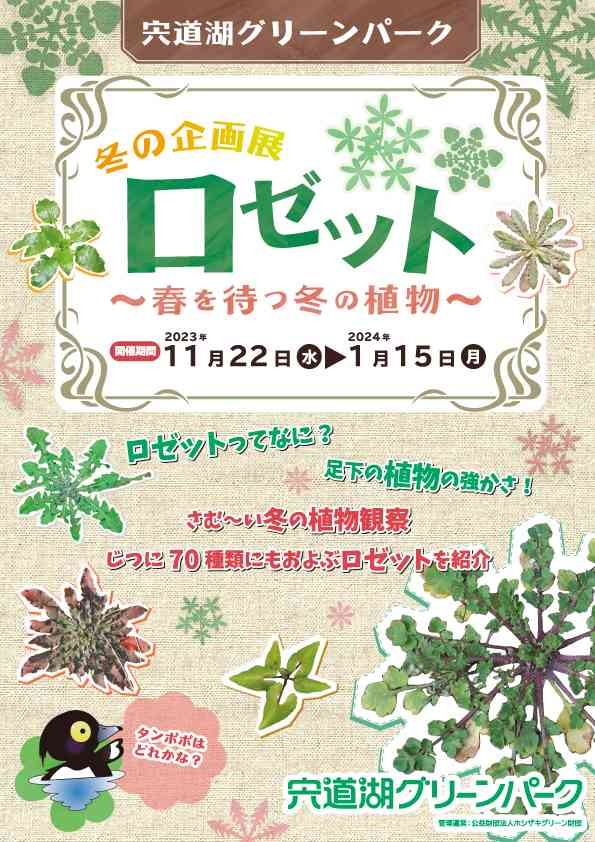 島根県出雲市のイベント「宍道湖グリーンパーク冬の企画展「ロゼット〜春を待つ冬の植物」」のチラシ