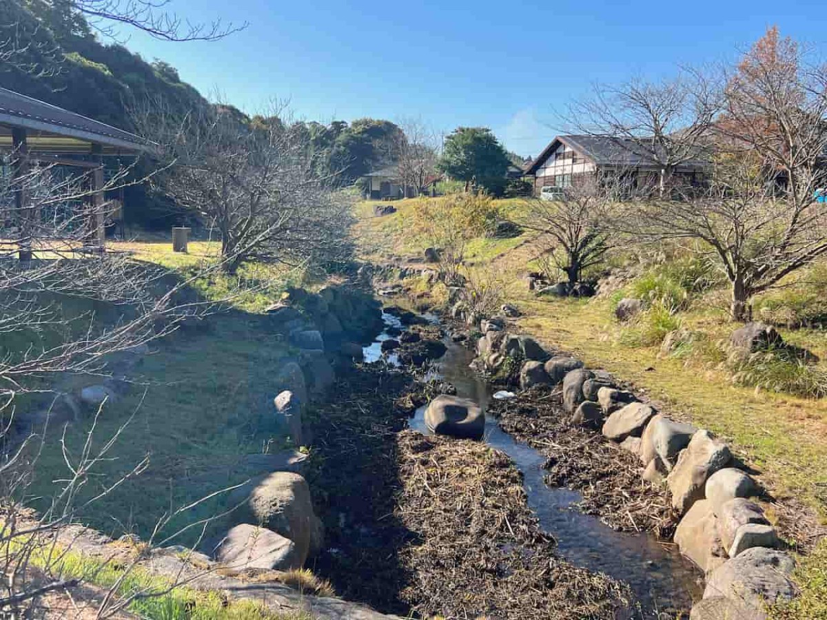 鳥取県大山町にある『スクエアなかやま』の広場の様子