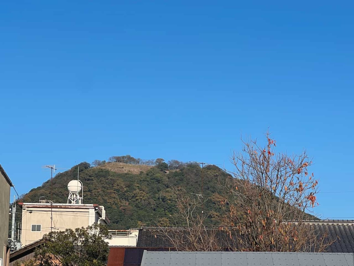 鳥取県鳥取市にあるたい焼き屋『らっぱや大谷商店』周辺の様子