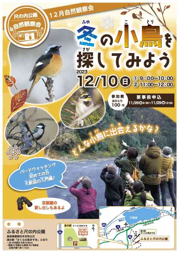 島根県雲南市のイベント「【要予約】ふるさと尺の内公園自然観察会「冬の小鳥を探してみよう」」のチラシ