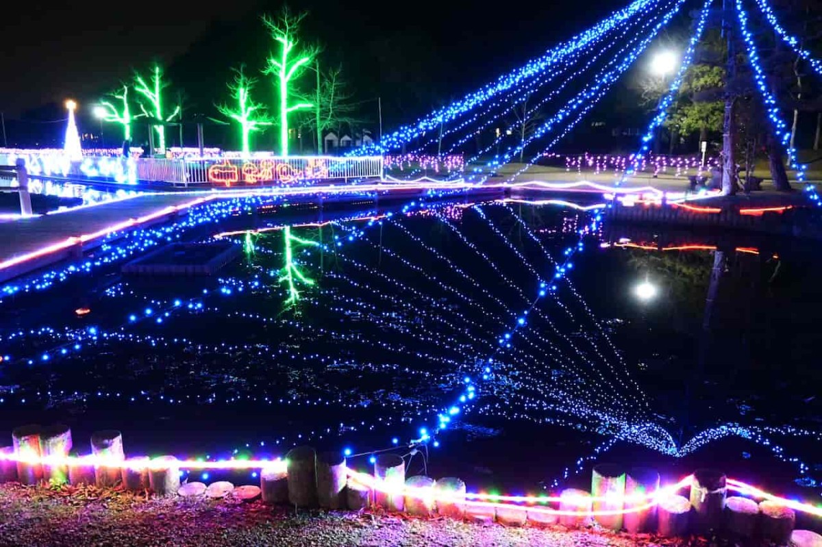 鳥取県湯梨浜町にある『あやめ池公園』のイルミネーションの様子