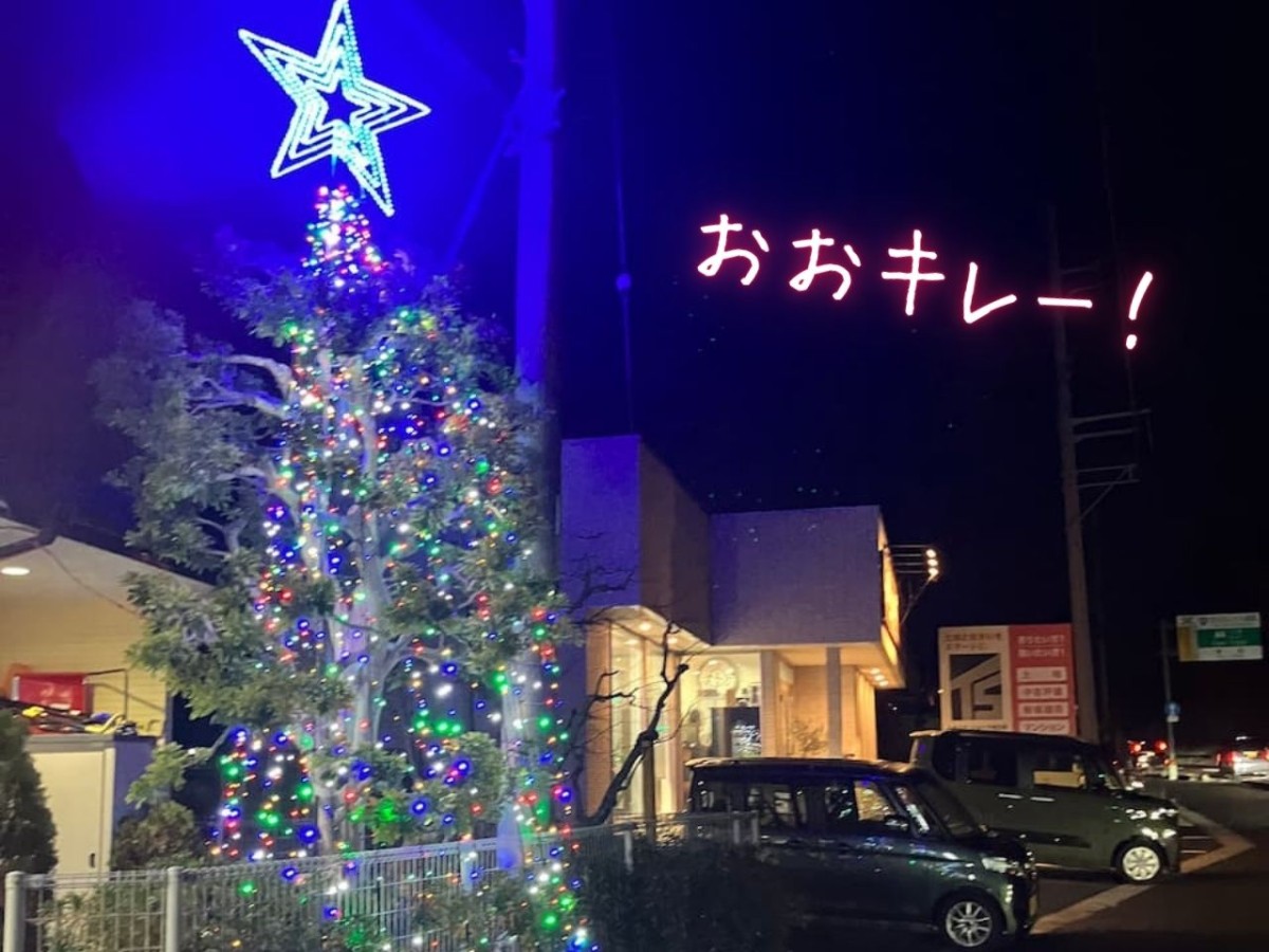 松江市西川津町で見つけたイルミネーション