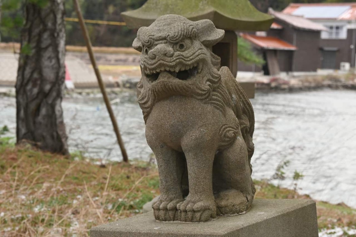 島根県松江市にある『龍宮神社』の狛犬
