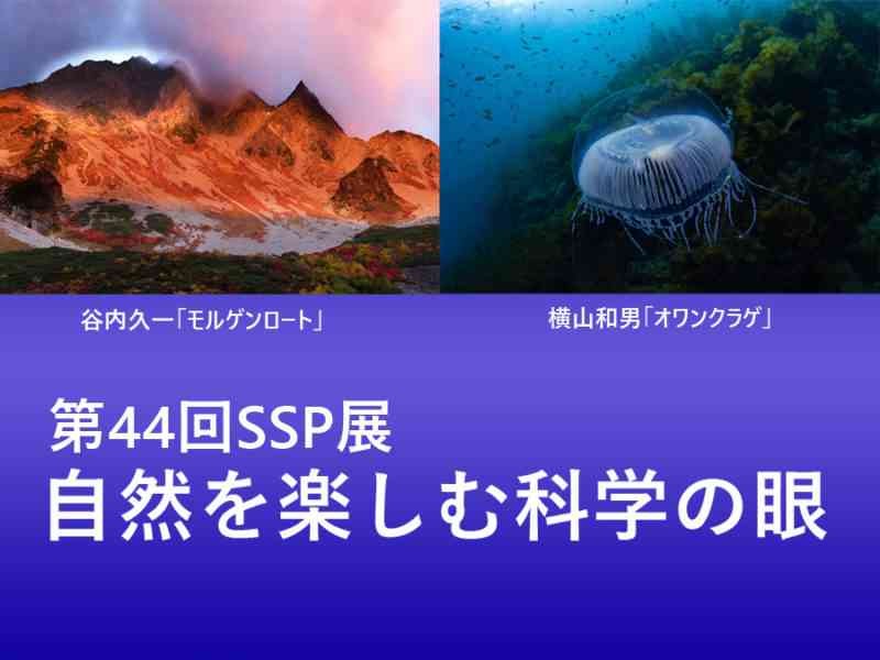 島根県大田市のイベント「第44回SSP展 自然を楽しむ科学の眼」のチラシ