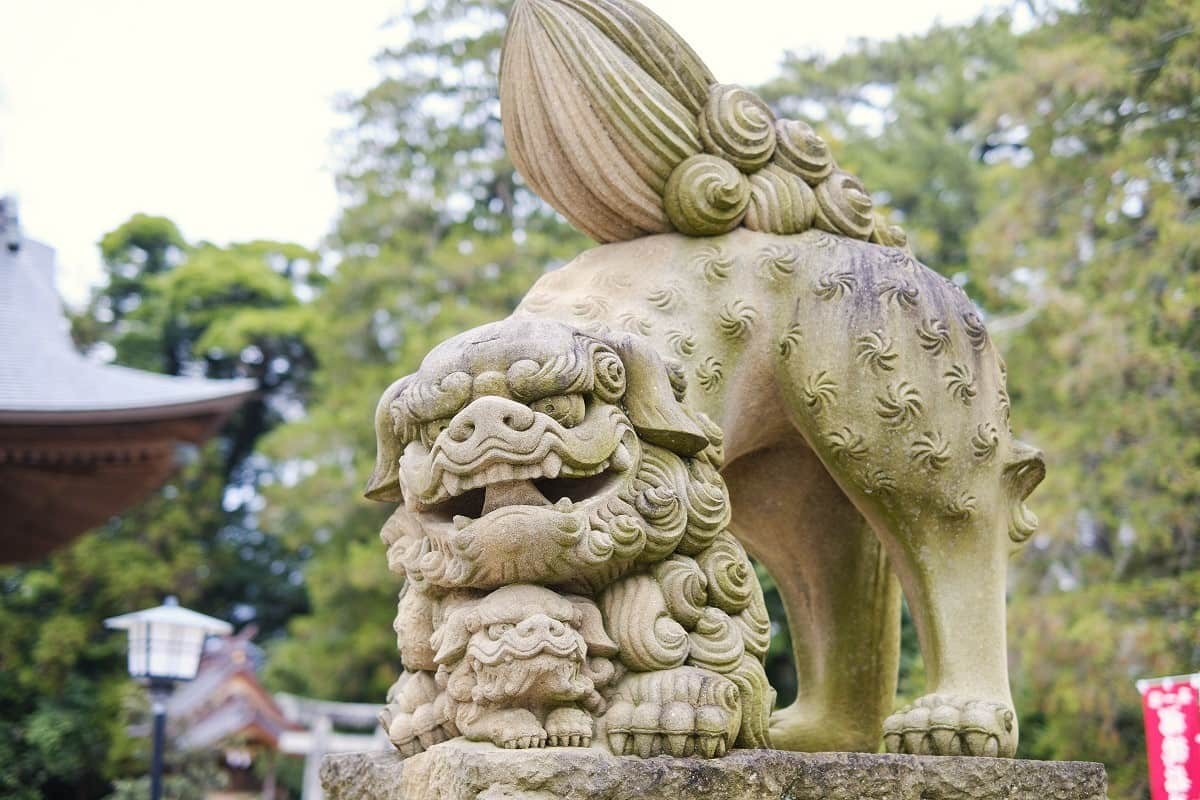 島根県松江市『松江神社』に置かれている狛犬