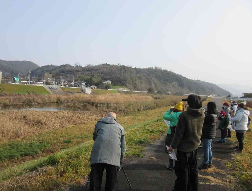 鳥取県倉吉市のイベント「【要予約】【自然ウォッチング】国府川の水鳥を見よう」のイメージ