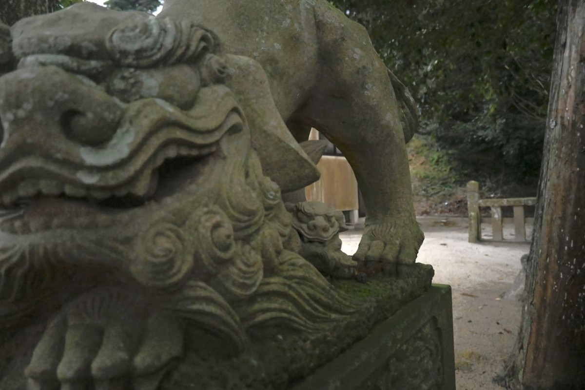 島根県松江市にある『多賀神社』の狛犬