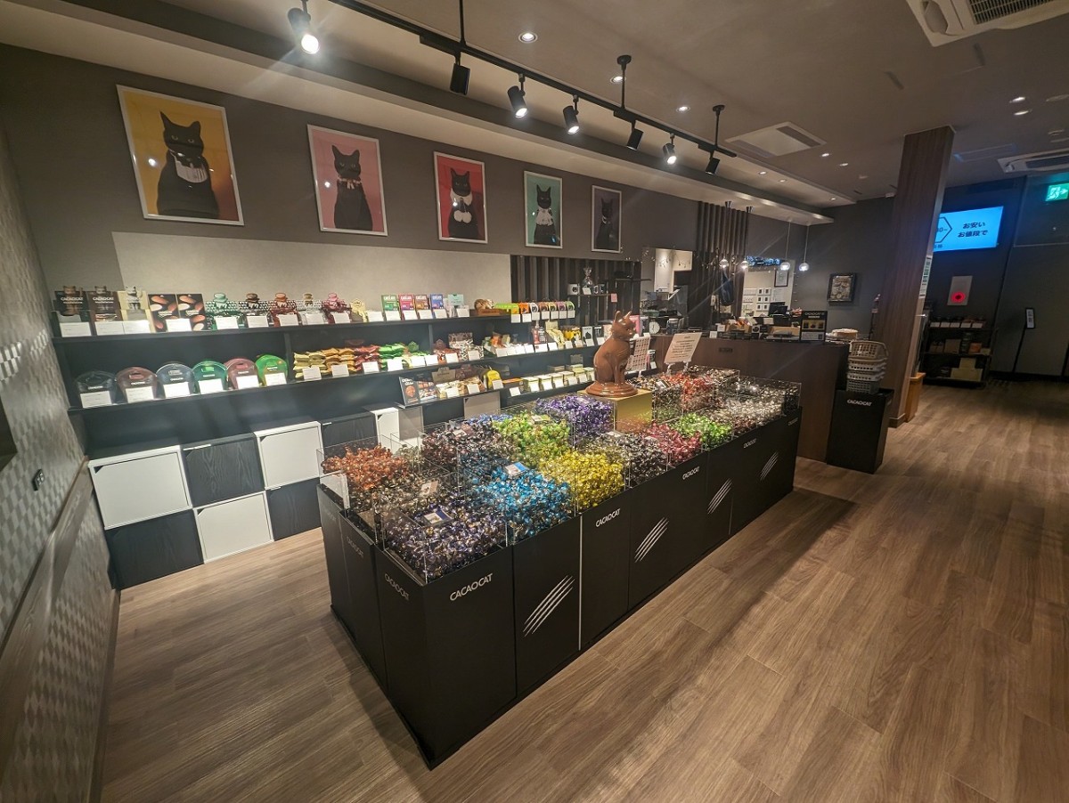 鳥取県倉吉市にオープンしたチョコレート専門店『カカオキャット鳥取倉吉店』の店内の様子
