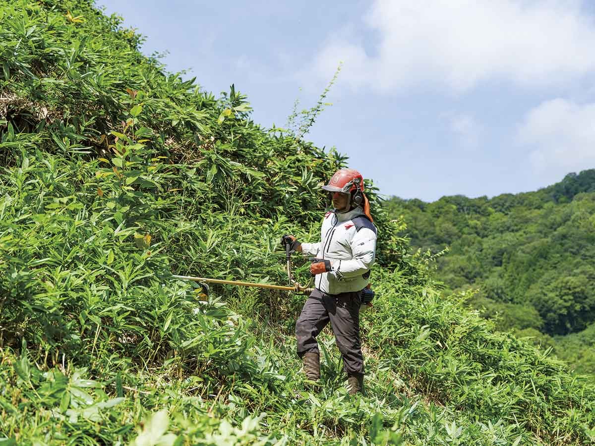 邑智郡「邑智郡森林組合」のスタッフ