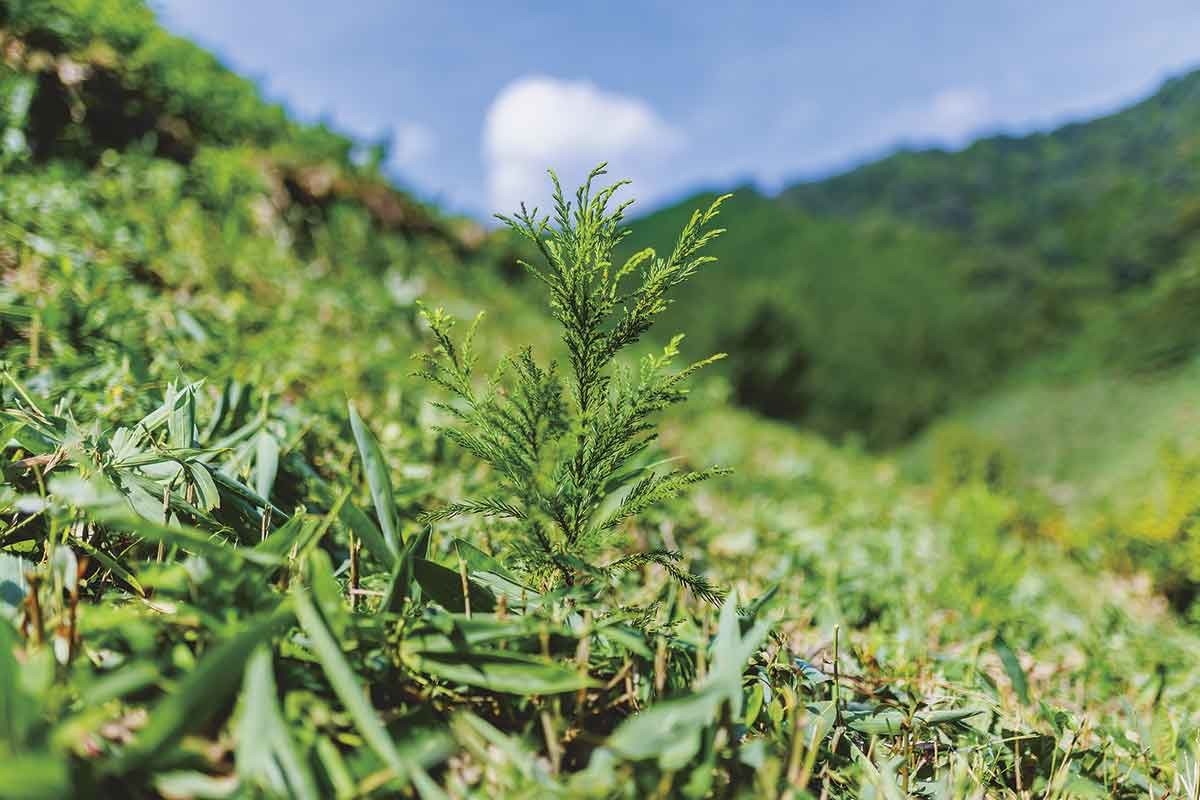 邑智郡「邑智郡森林組合」のイメージ