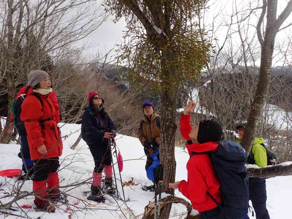 鳥取県八頭郡若桜町のイベント「【要予約】スノーシューハイク」のイメージ