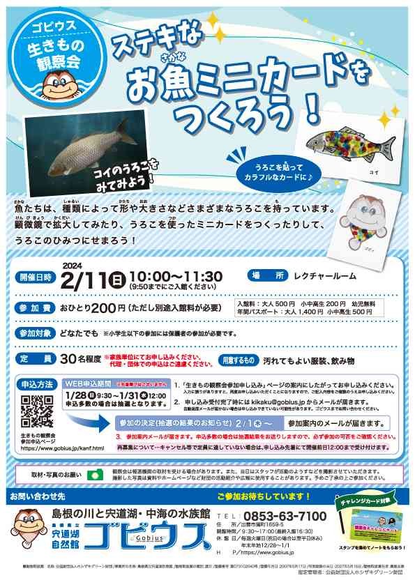 島根県出雲市のイベント「【要予約】ゴビウス生きもの観察会「ステキなお魚ミニカードをつくろう！」」のチラシ