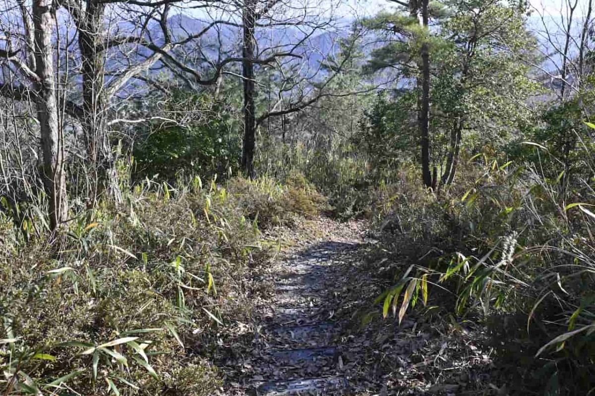 鳥取県南部町にある「母塚山展望台」の散策路