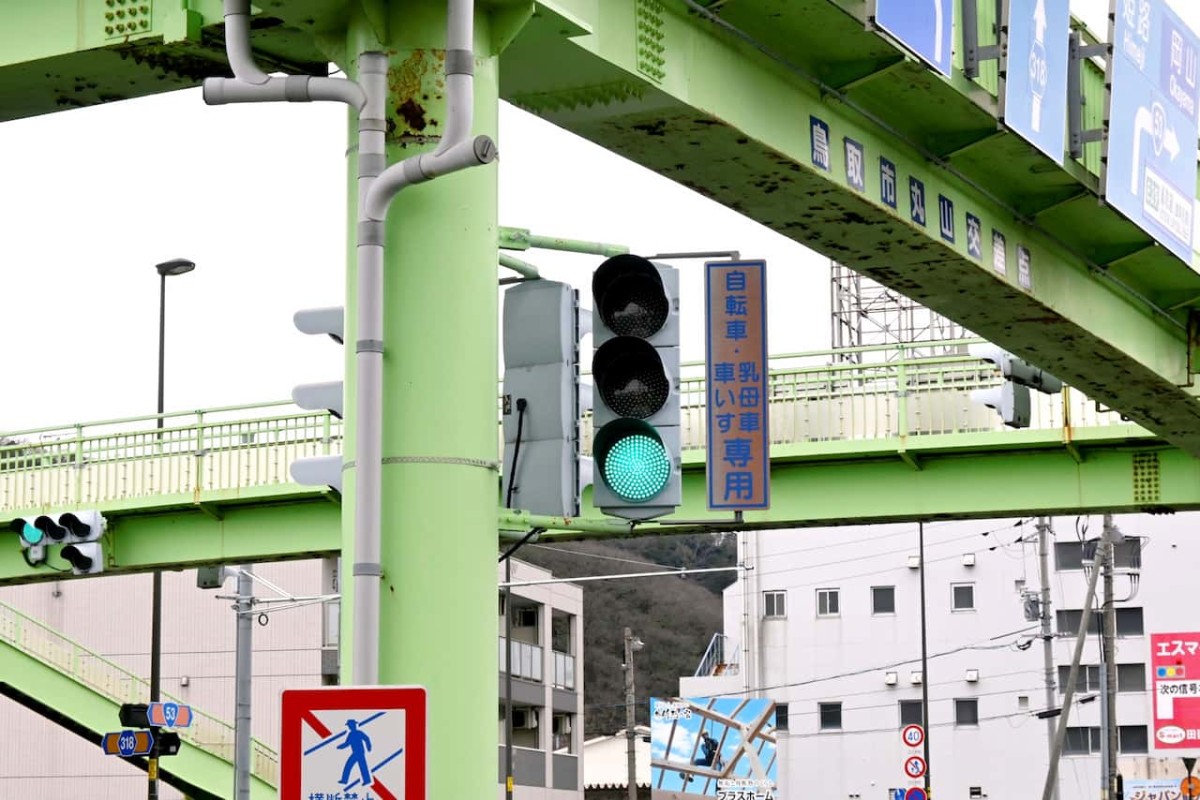 鳥取県鳥取市にある「丸山交差点」の「自転車 乳母車 車いす」専用横断帯