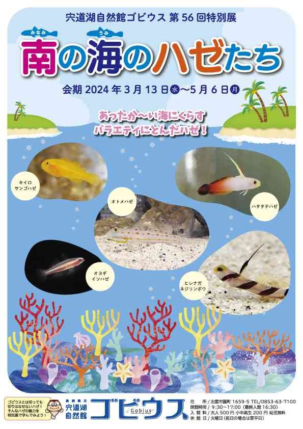 島根県出雲市のイベント「第56回特別展「南の海のハゼたち」」のチラシ