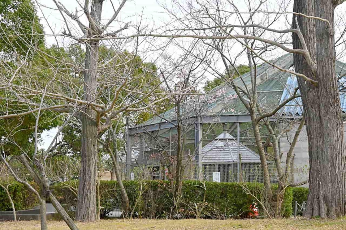 鳥取県米子市にある『湊山公園』の「猿が島」付近