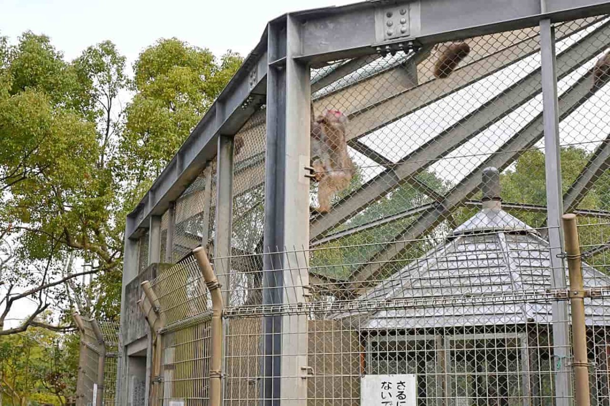 鳥取県米子市『湊山公園』の「猿が島」