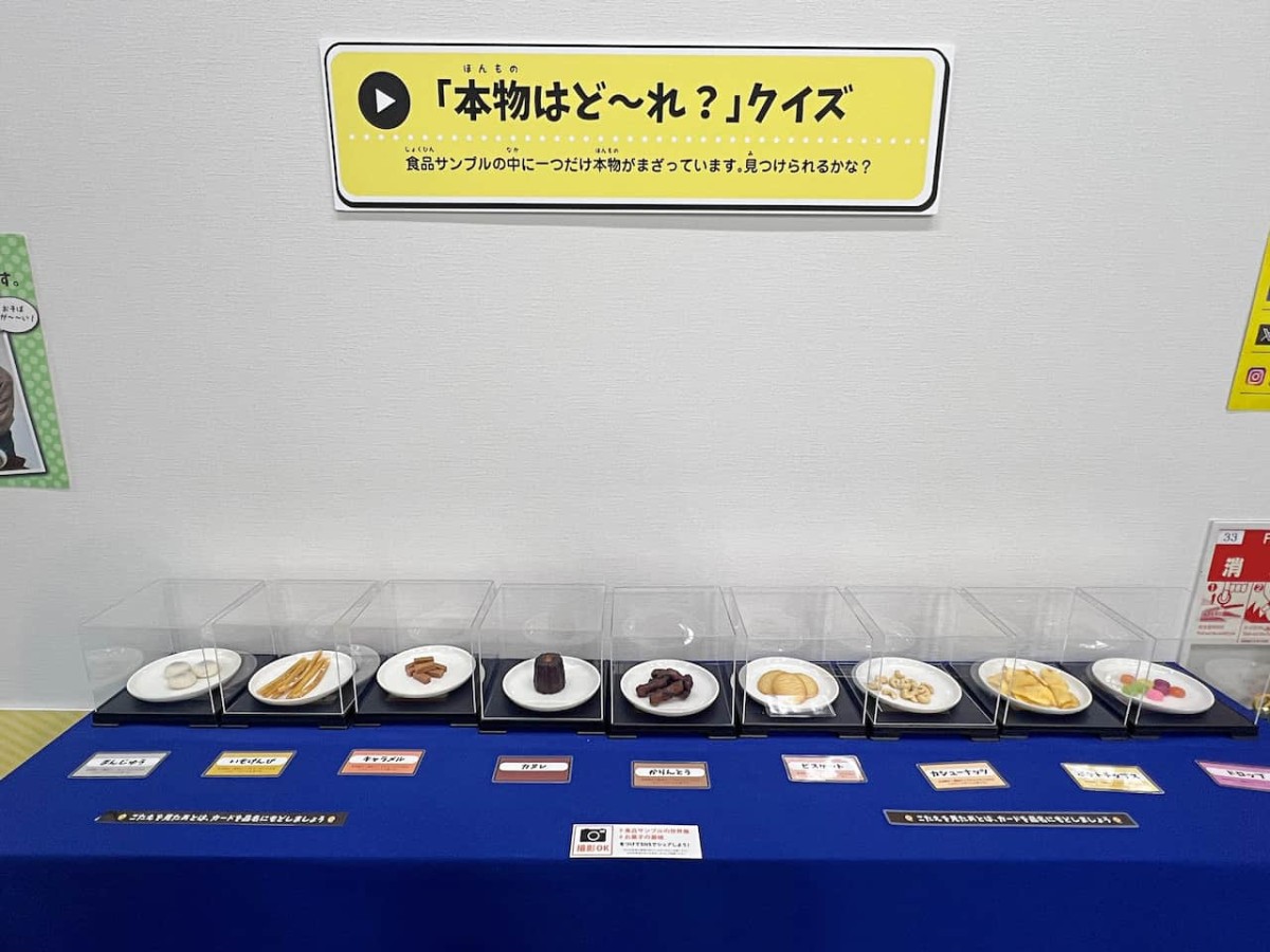 米子市『お菓子の壽城』で開催中の「食品サンプルの世界展」の展示物