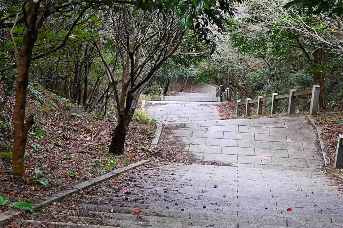 島根県松江市の「朝日山」登山途中の様子