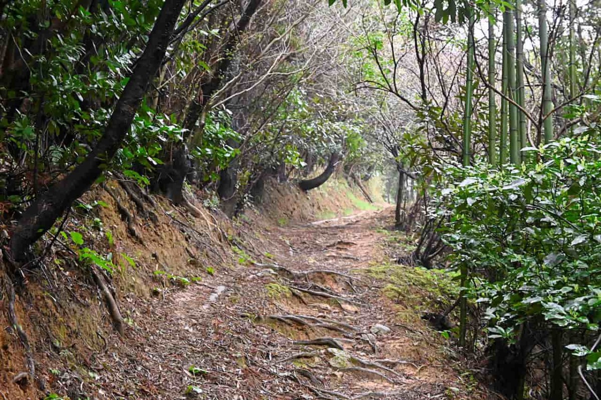 島根県松江市の「朝日山」登山途中の様子