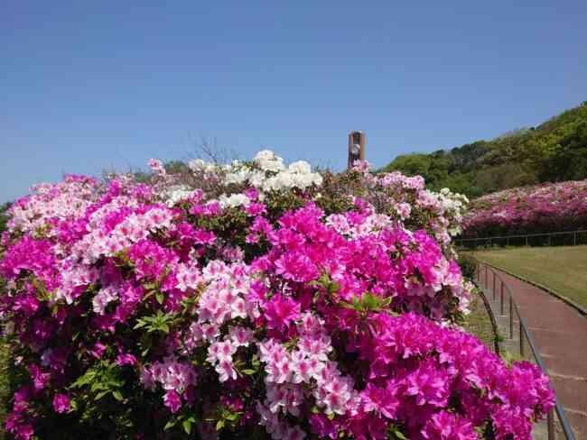 島根県浜田市のイベント「第１回 遊春祭～海水浴だけじゃないのよ～」のイメージ