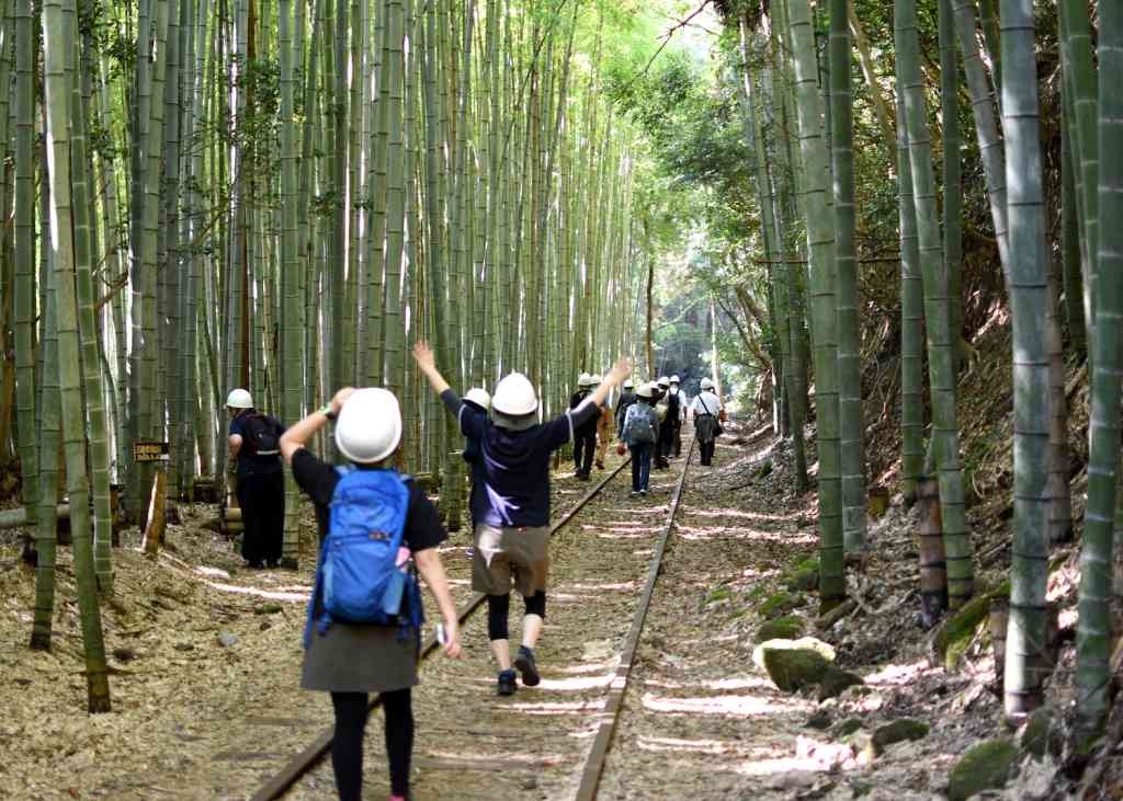 鳥取県倉吉市のイベント「【要予約】旧国鉄倉吉線廃線跡ウォーキングオープンデー2024」のイメージ