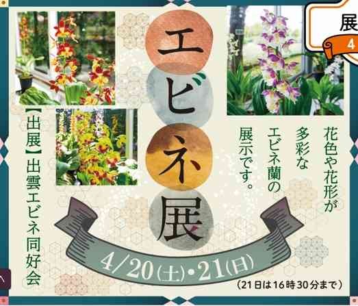 島根県出雲市のイベント「小さな蘭の世界　エビネ展」のチラシ