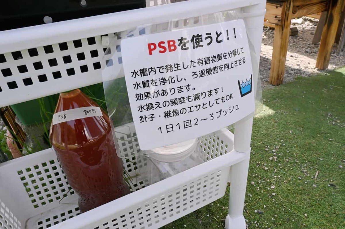 島根県松江市にあるメダカの無人販売所『プラチナメダカ』で販売しているグッズ
