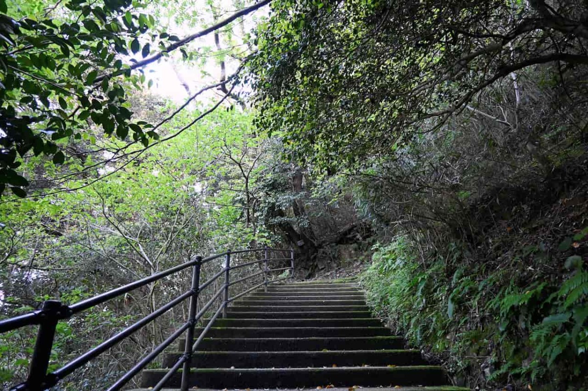 島根県松江市美保関にある『五本松公園』の登山途中の様子