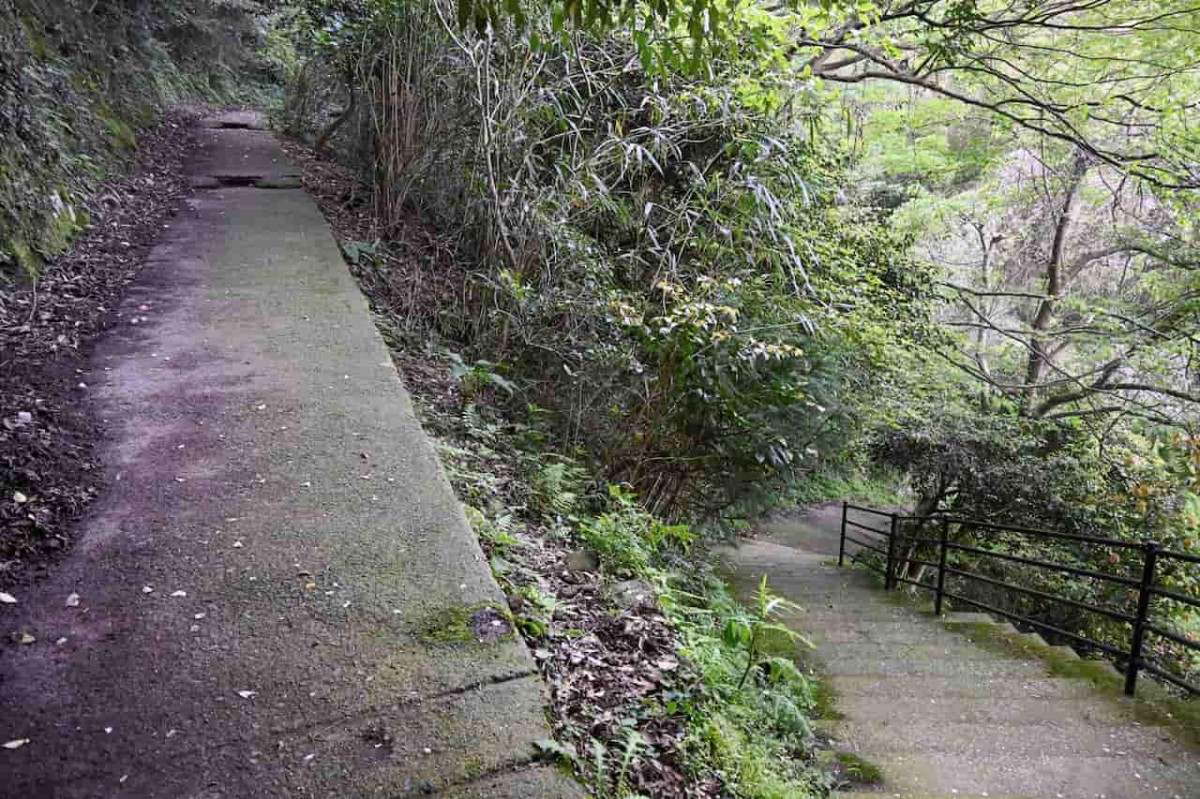 島根県松江市美保関にある『五本松公園』の登山途中の様子