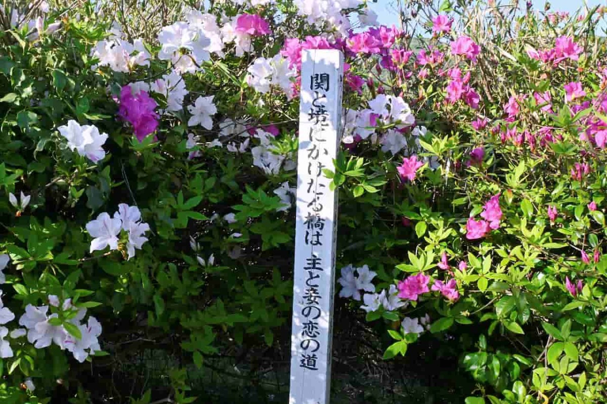 島根県松江市美保関にある『五本松公園』の様子