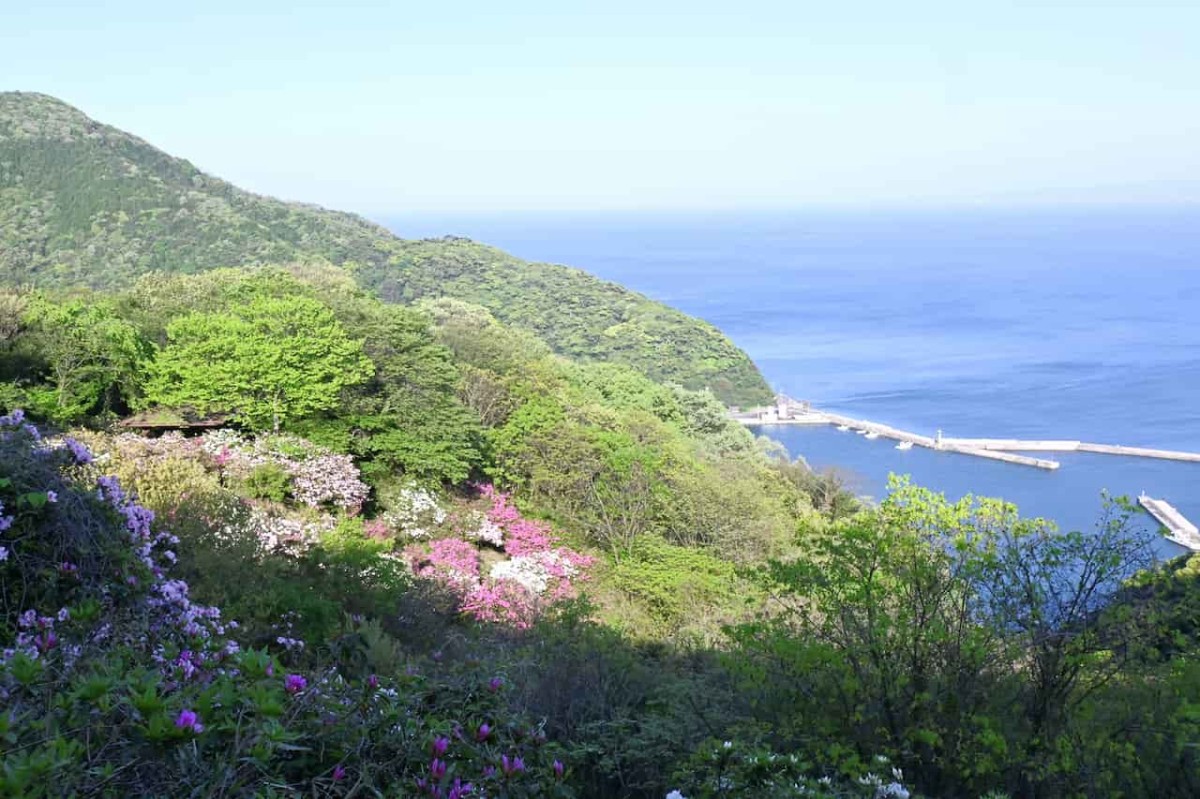 島根県松江市美保関にある『五本松公園』からの景色