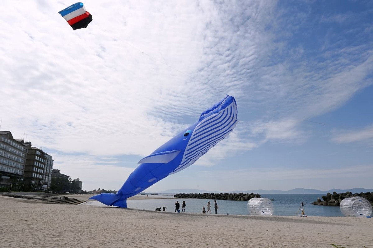 鳥取県米子市で開催中の「カイケジャンボリー４」の「空の水族館」の様子