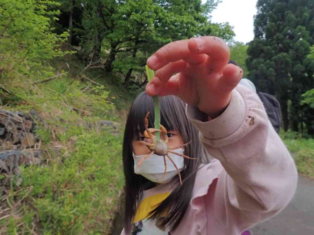 鳥取県八頭郡若桜町のイベント「【要予約】森のようちえん＋（プラス）」のイメージ