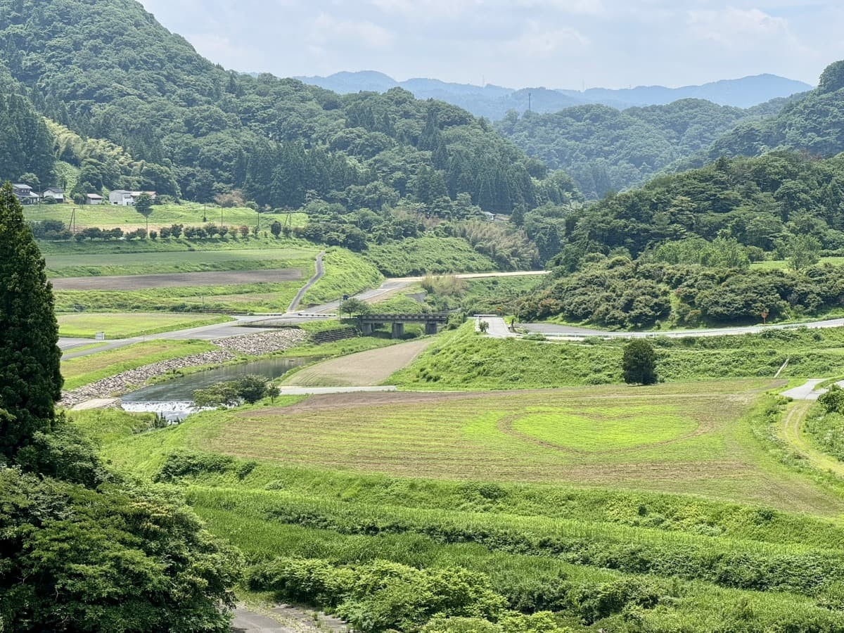 島根県飯南町のレジャースポット『東三瓶フラワーバレー』の景色