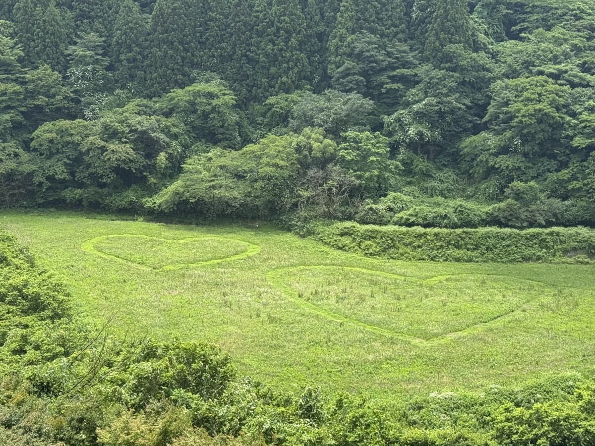 島根県飯南町のレジャースポット『東三瓶フラワーバレー』のハートマーク