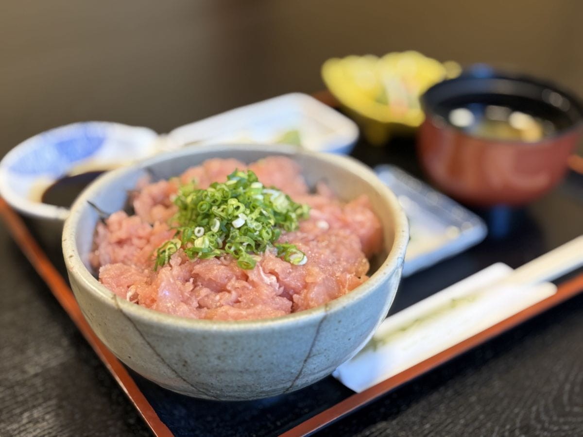島根県大田市・三瓶山の温泉宿『国民宿舎さんべ荘』の「ネギトロ丼」