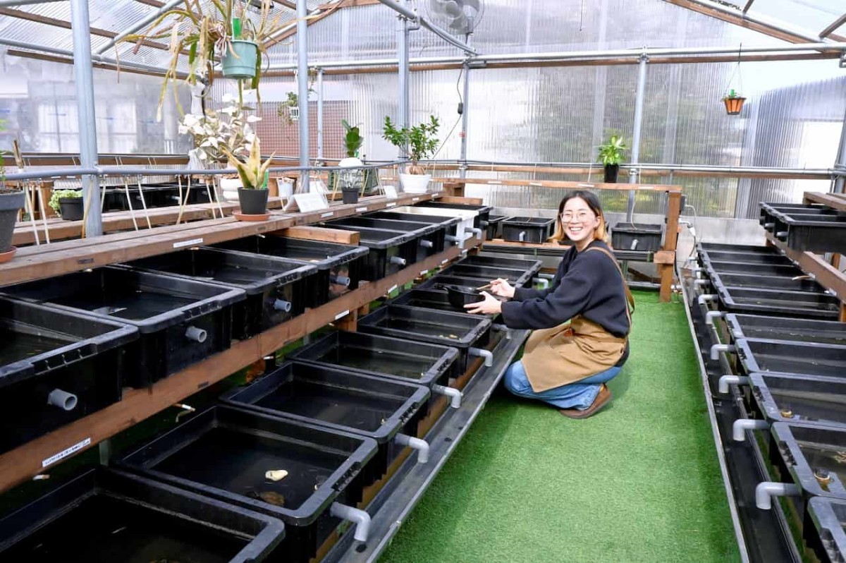鳥取県米子市のメダカ専門店「メダカベース157」の販売スペース