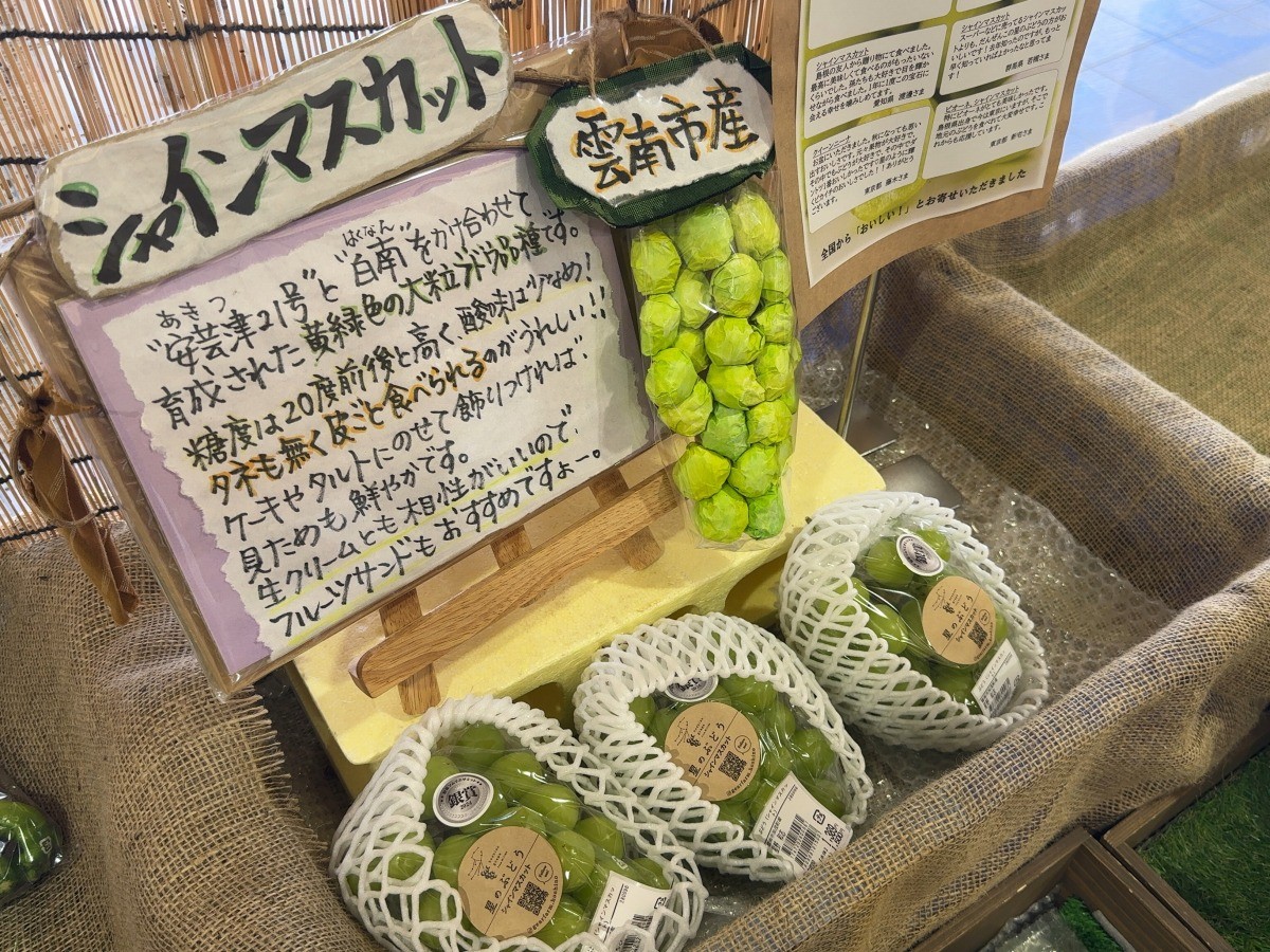 シャインマスカット