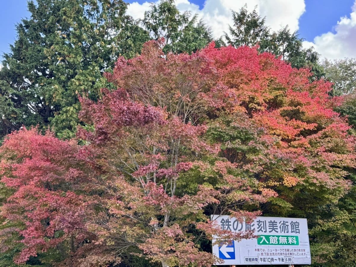 島根県奥出雲町の紅葉の名所『道の駅奥出雲おろちループ』の紅葉の様子
