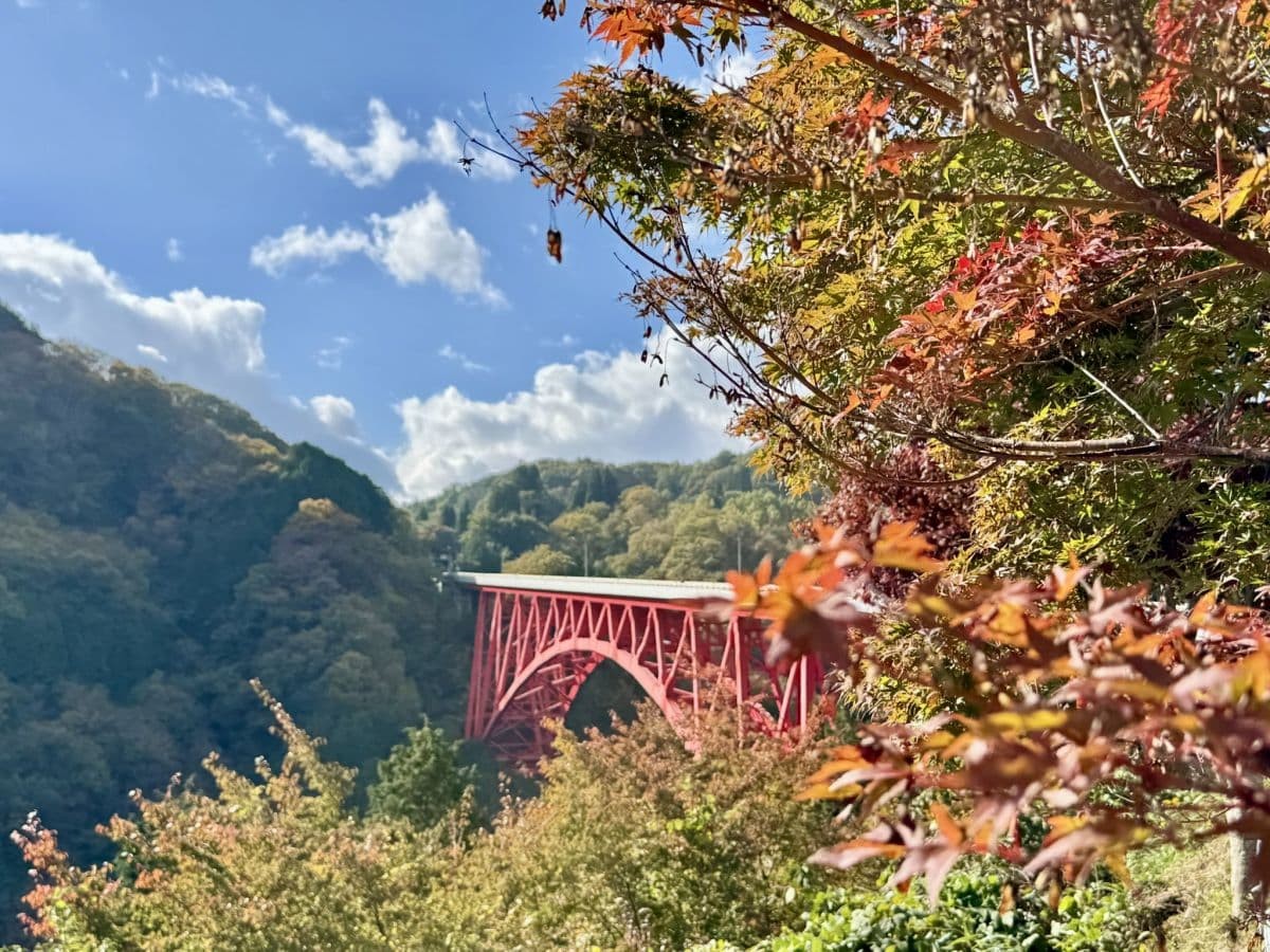 島根県奥出雲町の紅葉の名所『道の駅奥出雲おろちループ』から見た三井野大橋と紅葉
