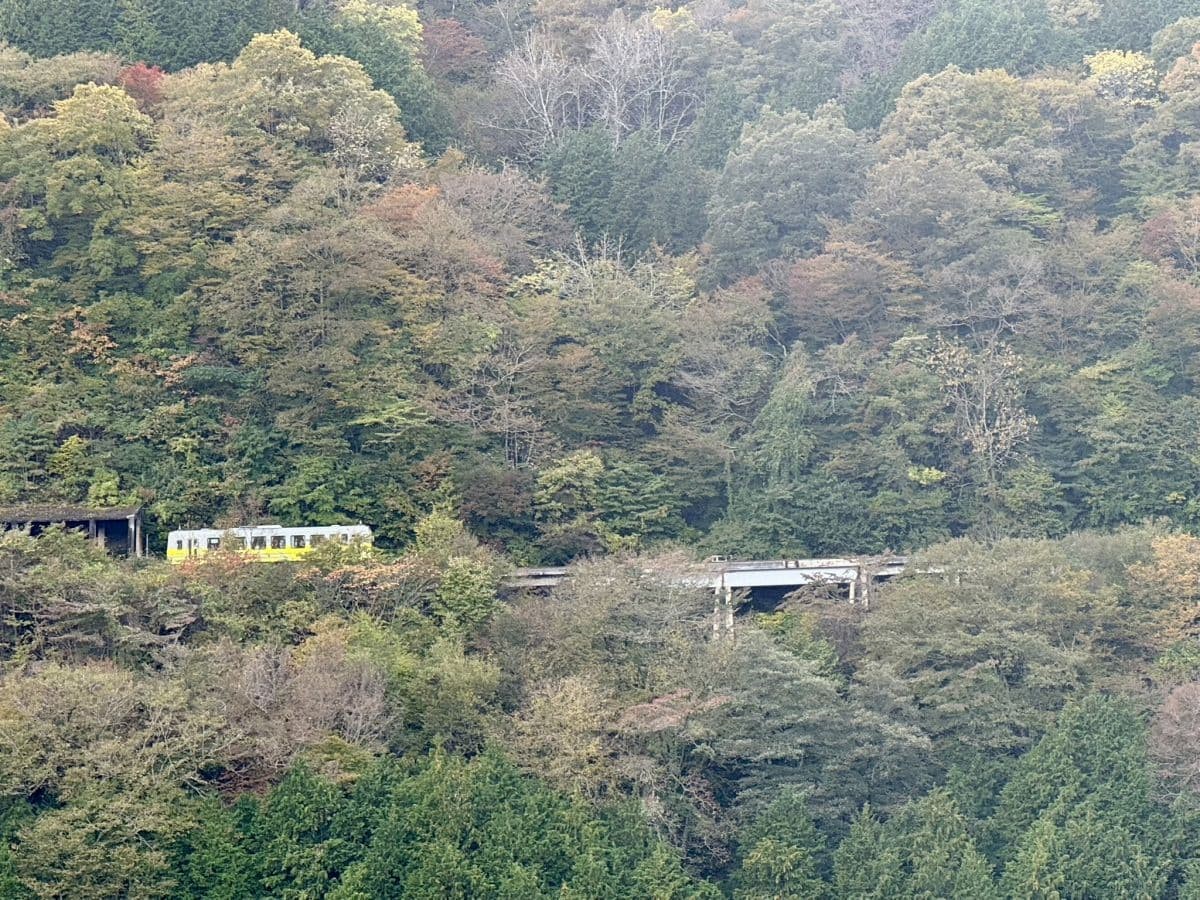 山肌を走る木次線