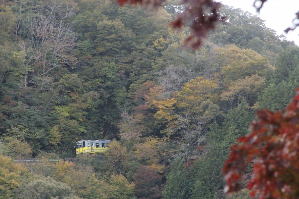 トンネルに突入する木次線