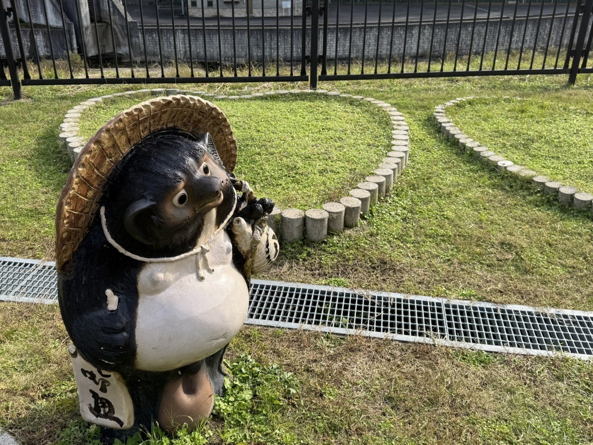 鳥取市国府町の公園『殿ダム記念広場』のたぬき