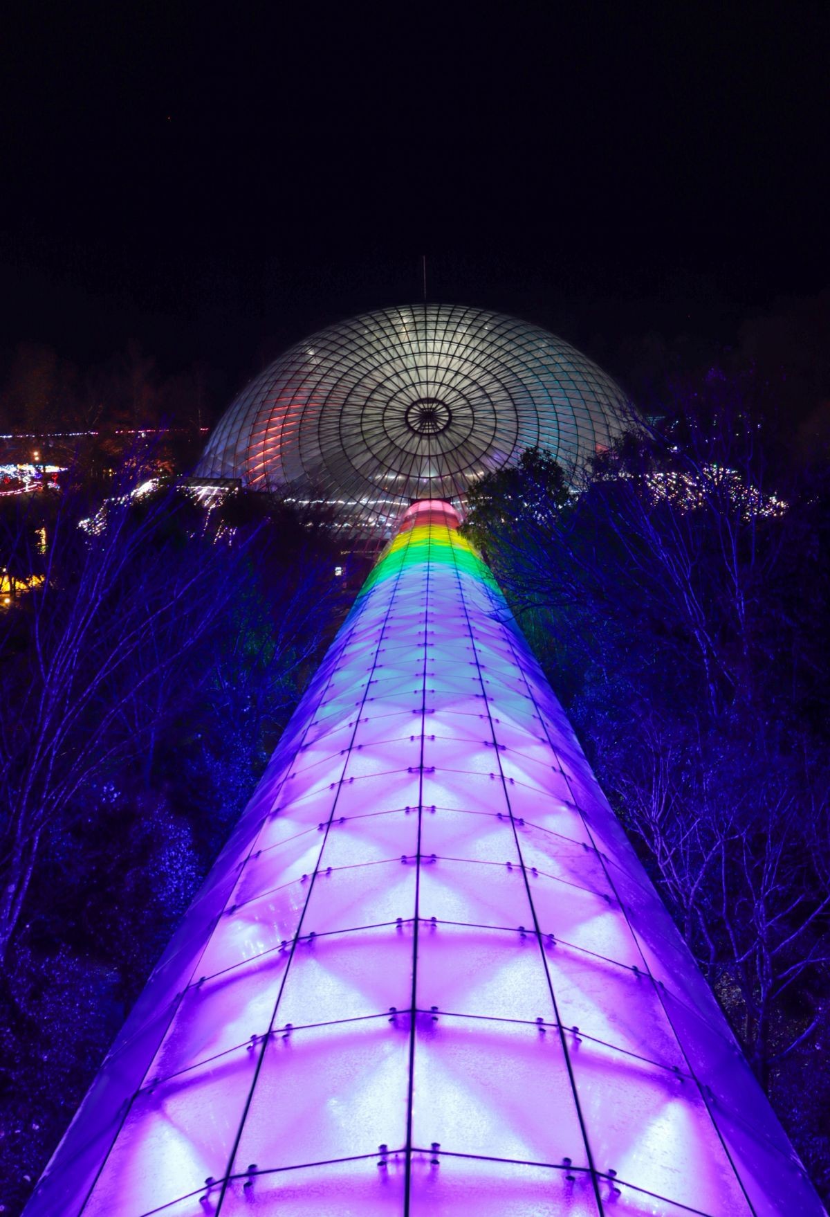 鳥取県南部町『とっとり花回廊』のイルミネーションの様子