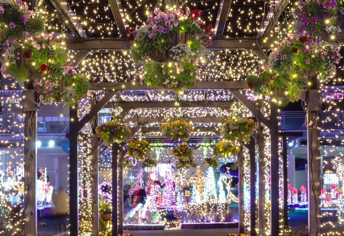 鳥取県南部町『とっとり花回廊』のイルミネーションの様子