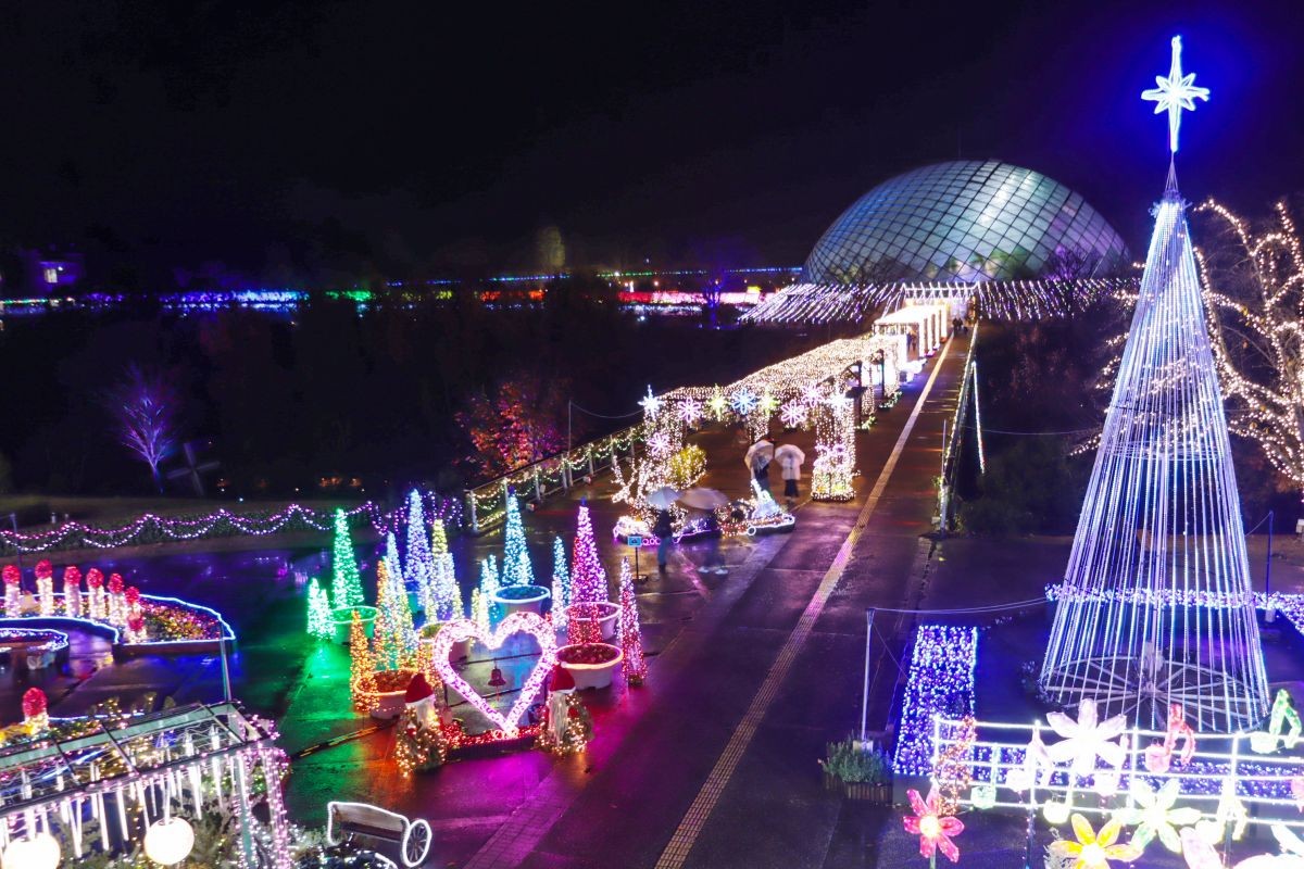 鳥取県南部町『とっとり花回廊』のイルミネーションの様子