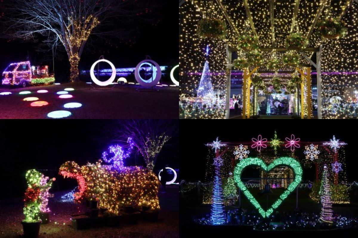 鳥取県南部町『とっとり花回廊』のイルミネーションの様子